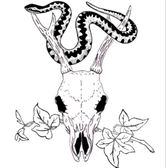 Diary of a Folk Witch