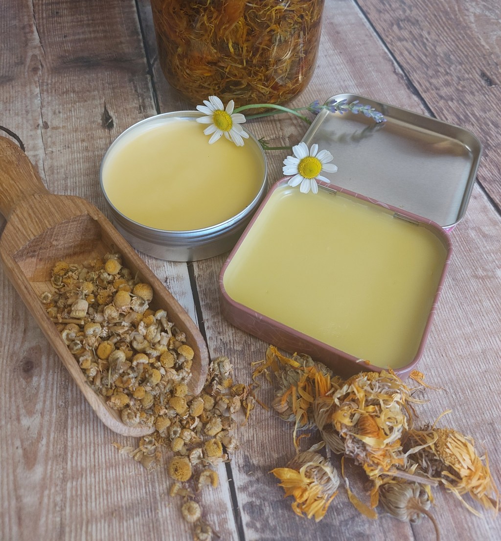 The Herbs And Healing Series: Chamomile & Calendula&nbsp;Salve.